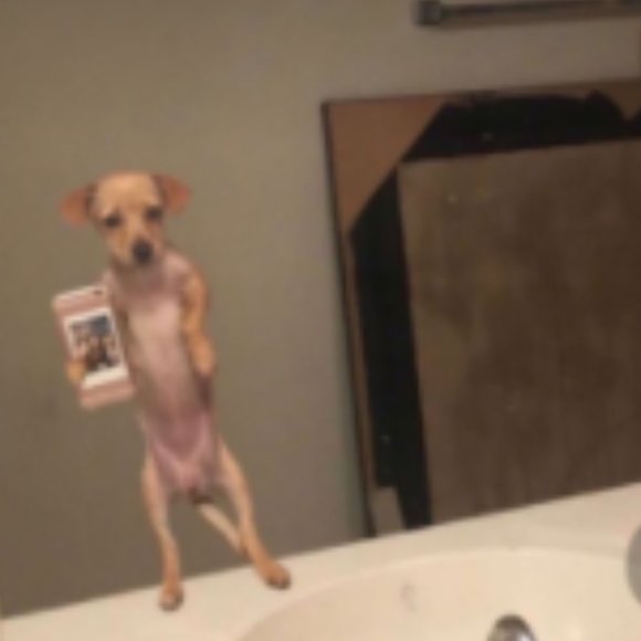 a fancy robe - Picture 2 of 3